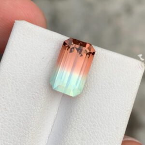 Bi Color Tourmaline