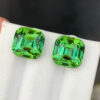 Tourmaline Pair