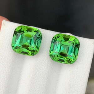 Tourmaline Pair