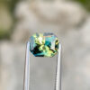 Parti Sapphire