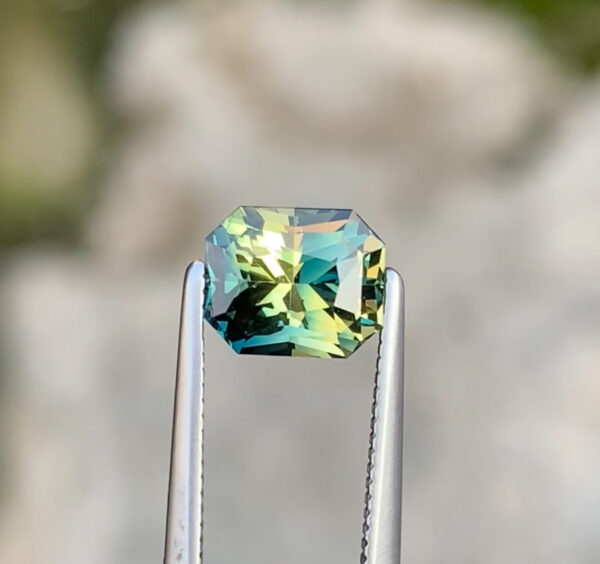 Parti Sapphire