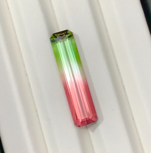 Watermelon Tourmaline
