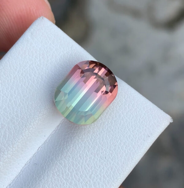 Bi Color Tourmaline