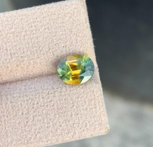 Parti Sapphire