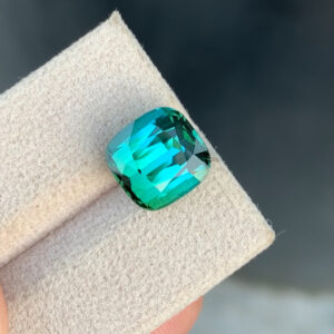 Blue Green Bi color