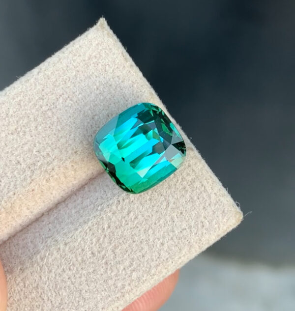 Blue Green Bi color