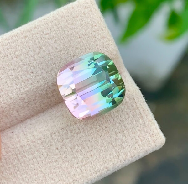 Bi Color Tourmaline