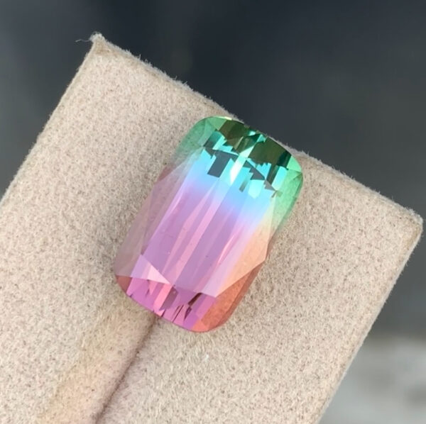Bi Color Tourmaline